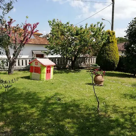 I Tre Cipressi Di Casanova Selvatelle